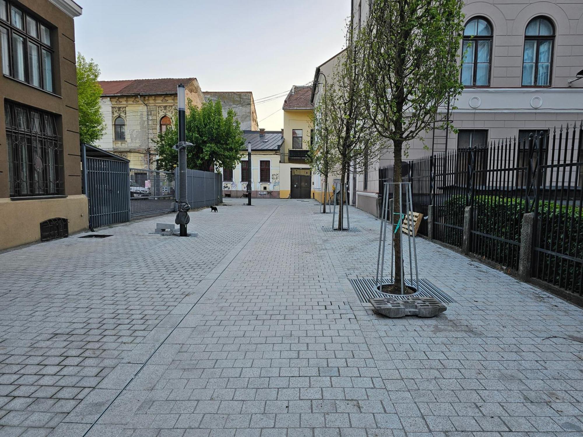 Muzeului Studio Cluj-Napoca Extérieur photo